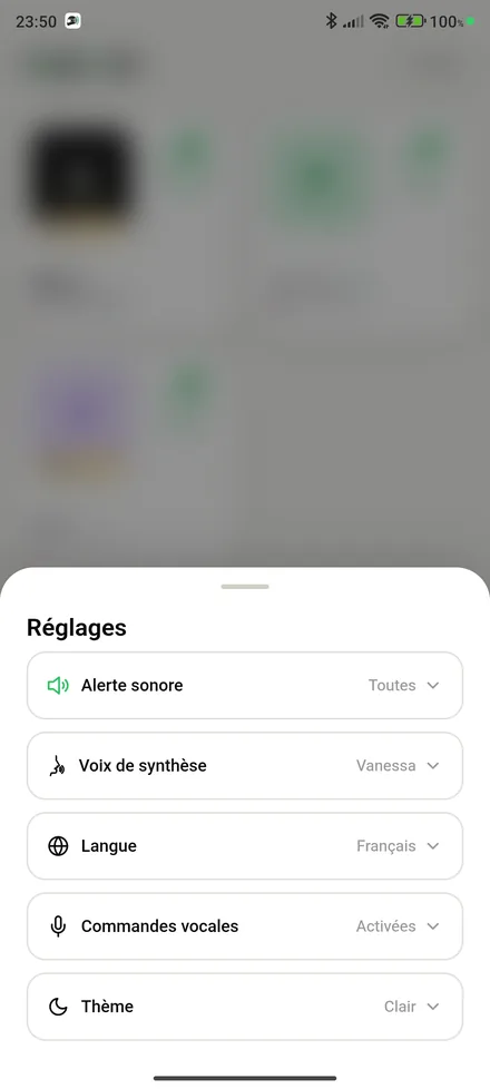 Les réglages de RyderCom : alerte sonore, voix de synthèse, langue, commandes vocales, thème.